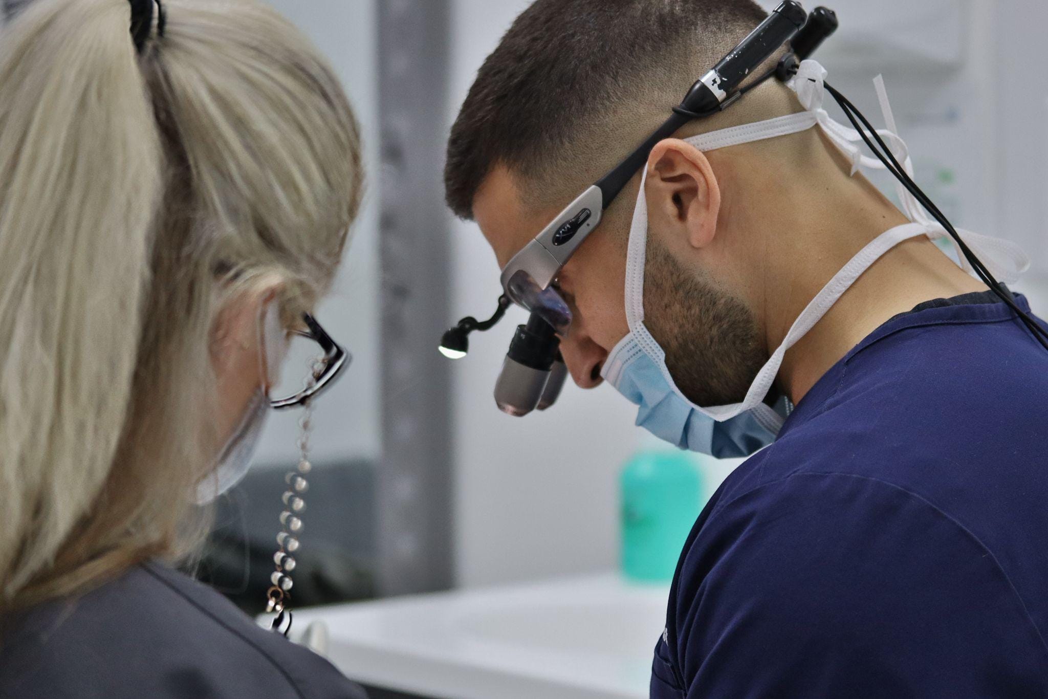 Our Dental Team